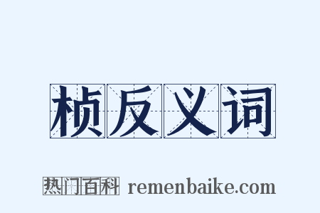 桢反义词是什么意思的图片